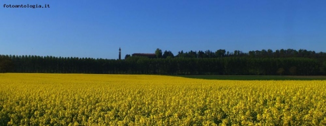 giallo verde blu