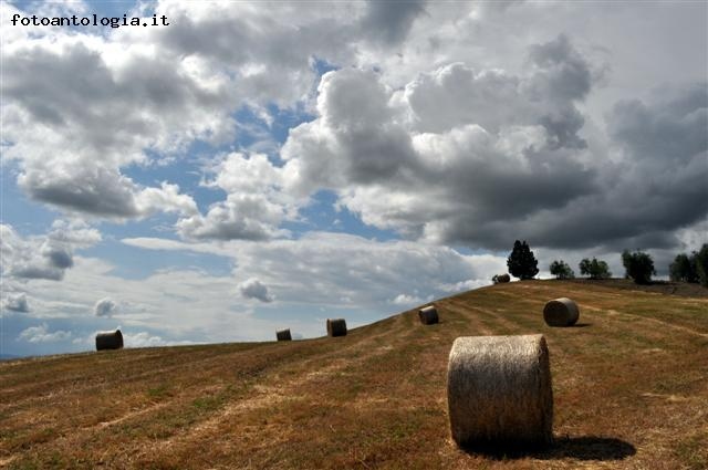 colline senesi