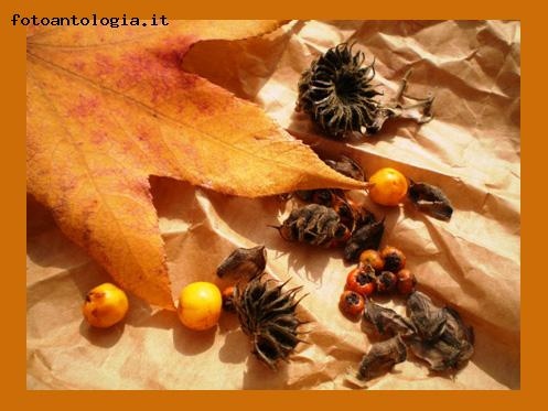 tiepido d'ottobre