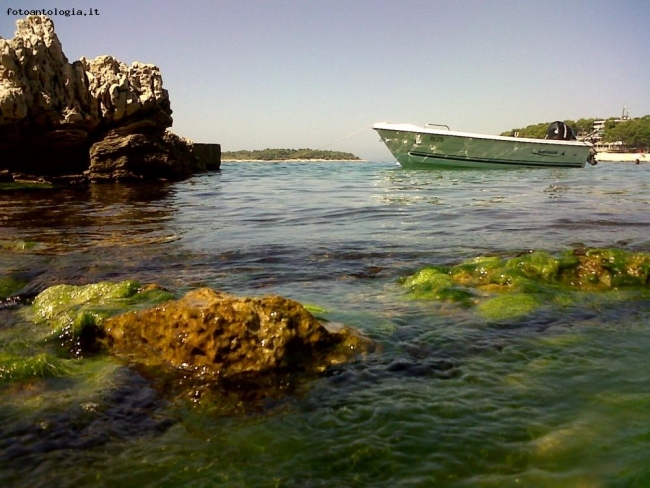 un...mare di colori dalmati...