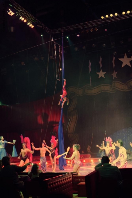 Circus