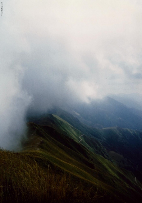 La nebbia...la misteriosa