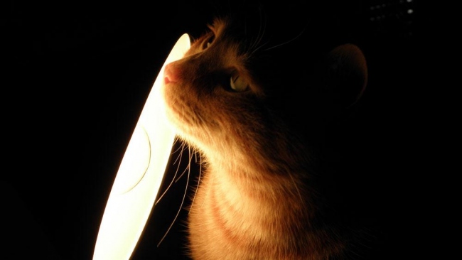 luci.. e baffi..