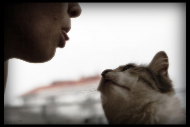 Bacio Bestiale