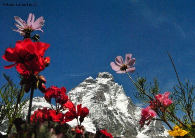 Fantasia di colori davanti al Cervino