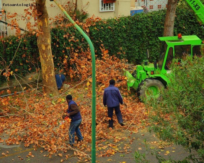 e gi cadono le foglie...