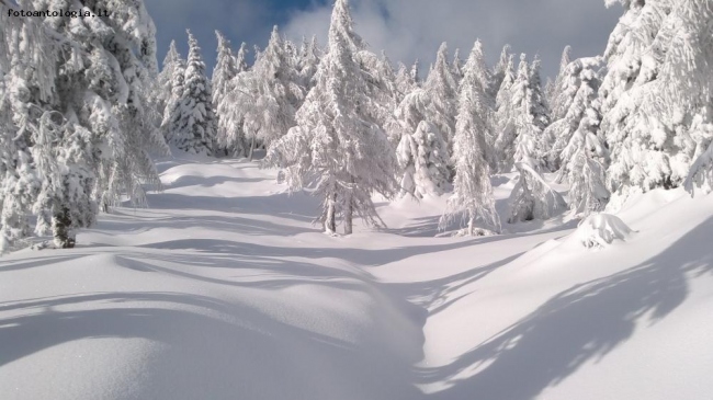 paesaggio innevato