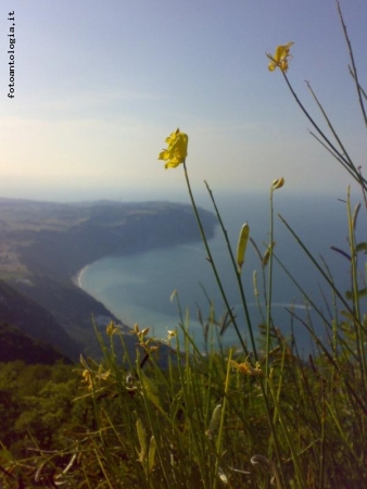 vista dal conero