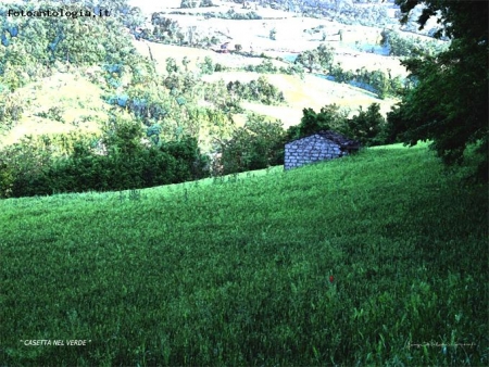 CASETTA NEL VERDE