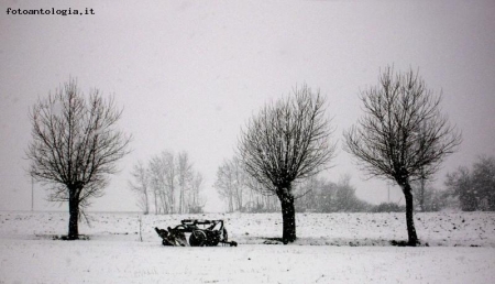 Nevicata in campagna