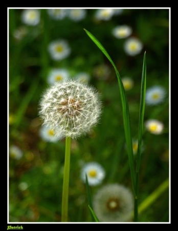 Soffio di primavera