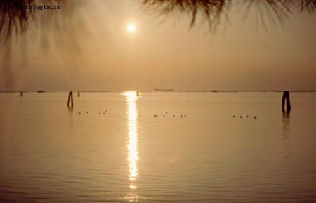 Venezia - Tramonto in laguna