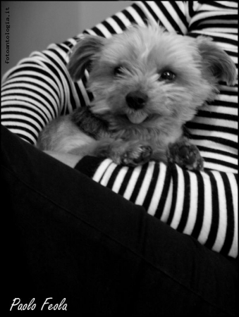..TRA LE RIGHE IN B&W
