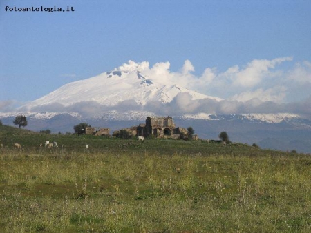 La mia terra