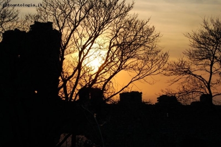 tramonto alle rovine