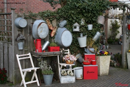 AMSTERDAM GARDEN