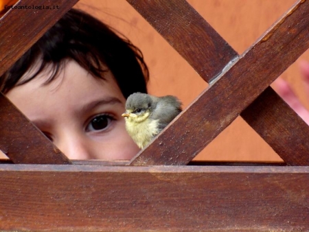 Piccoli Sguardi