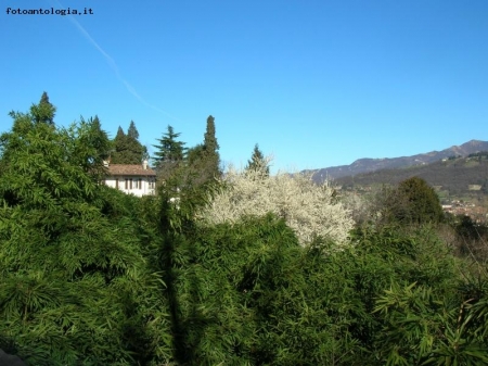 neve di primavera