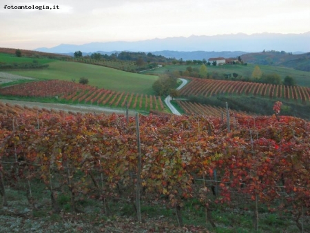 langhe