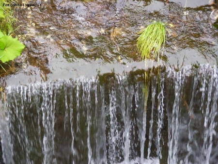 Cascate di Paneveggio