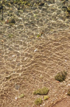 riflessi