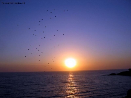 COSTA SARACENA  "REYSOL"-Sicilia