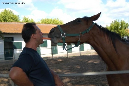 io e il mio cavallo