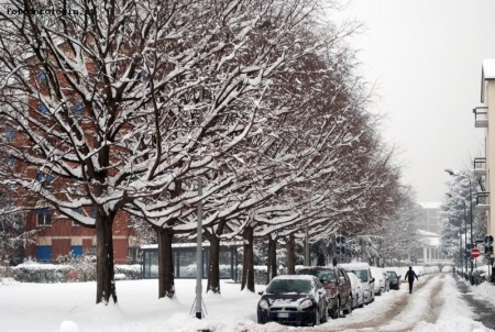 UN QUARTIERE DI MILANO