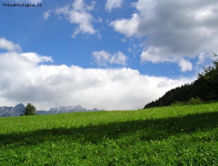 Cielo e campo
