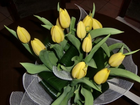 tulipani per il compleanno
