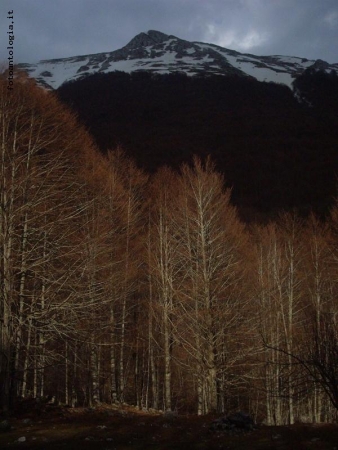 abruzzo selvaggio