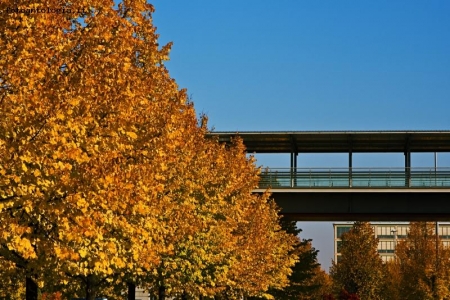 Autunno lingotto 26