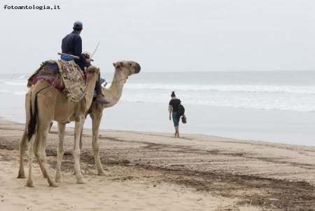 l'oceano e il deserto