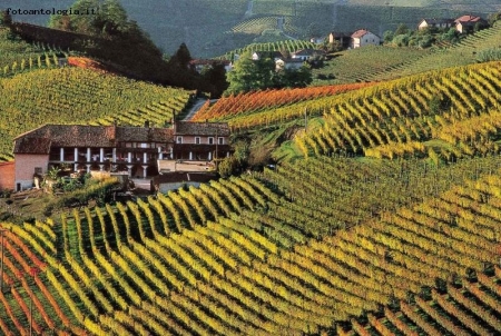 langhe