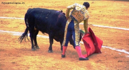 Il torero