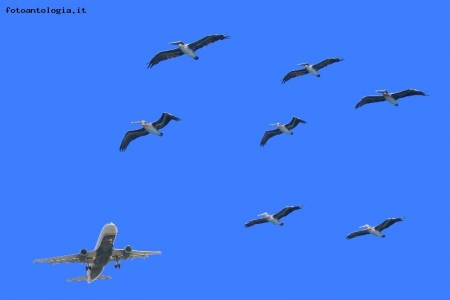 incontri in cielo