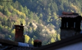 Prossima Foto: Dalla mia finestra
