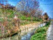 Foto Precedente: Canale d'irrigazione. Fr. Podio di Benevagienna. 