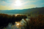 Foto Precedente: Lago di Fimon
