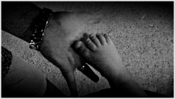 Foto Precedente: Legami