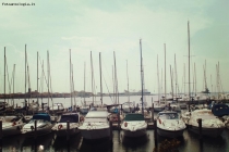 Foto Precedente: Relax in Darsena