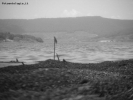 Prossima Foto: Lago di Vico
