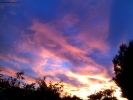 Prossima Foto: Luci del tramonto, verso il parco di Monza ..