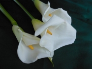 Foto Precedente: fiori per la sposa