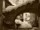 Prossima Foto: lavori d'inverno