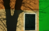 Foto Precedente: ..l'ombra ...e i colori..