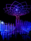 Prossima Foto: albero della vita - Expo 2015