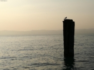 Foto Precedente: Sirmione - Lago di Garda