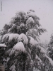 Prossima Foto: Neve 2