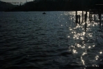 Foto Precedente: Luci e ombre nel Lago di Lugano